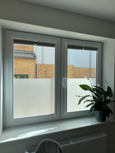 two windows in a room with a potted plant at Brand-new flat, King Bed, Sofa Bed with full kitchen, Wi-Fi, self check-in Central location near everything in Farnborough