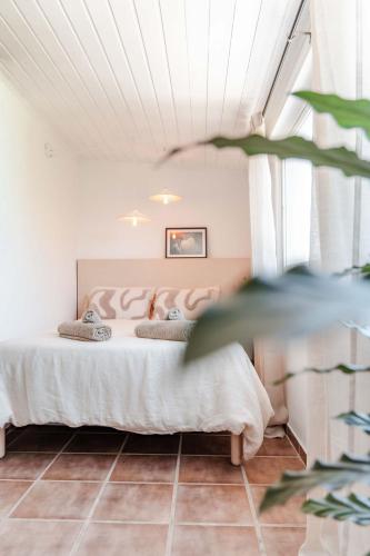 Casa Calma - The House of Rest - Surf & Yoga
