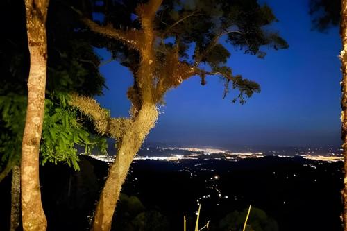 a tree with a view of the city at night at HOSPEDE-SE EM UM CONTAINER AO LADO DE GRAMADO - RS in Igrejinha