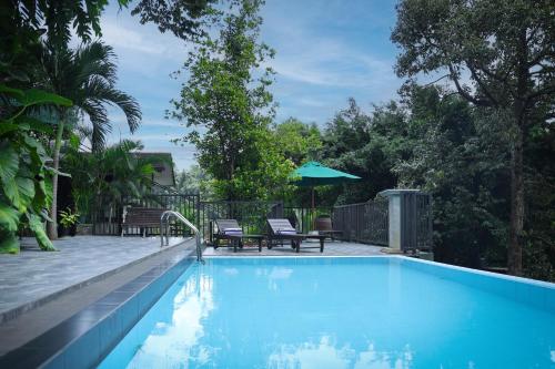 Bazén v ubytování Hotel FernCliff nebo v jeho okolí