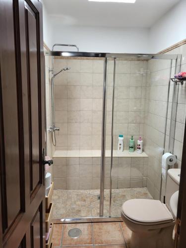 un baño con ducha y WC en Casa Las Palmeritas, en Tinajo