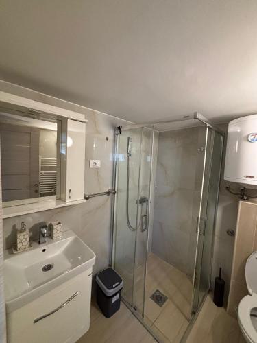 a bathroom with a shower and a sink at Vila POGLED in Arandjelovac
