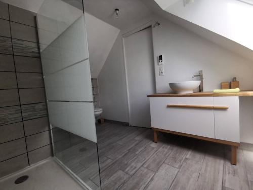 un baño con lavabo y ducha en Maison indépendante bord de mer, en Moëlan-sur-Mer