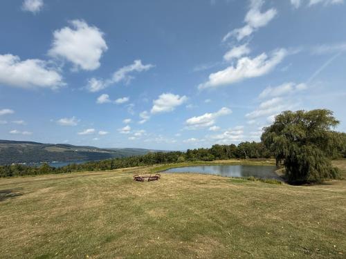 a large field with a lake and a tree at Wine Down in Hammondsport