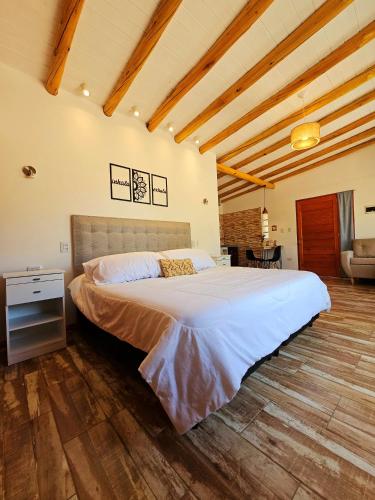 a bedroom with a large bed in a room at Los Molles Suites -Solo 2 Pax- in Mina Clavero