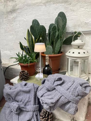 a table with two towels and a lamp and plants at Il Giardino Nascosto in Trieste