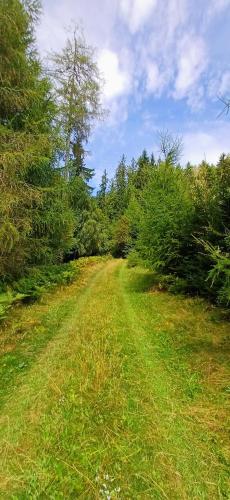 a dirt road in the middle of a field with trees at Ferienhaus Almhorizont beim Oberen Kreuzer in Friesach