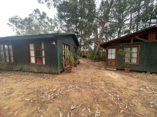 a green house with a yard with potted plants at Cabañas La Magia de Isla Negra in Isla Negra