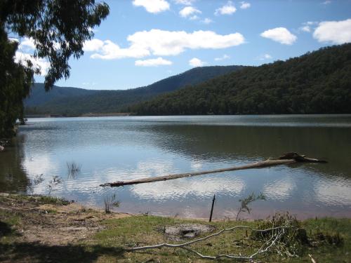 a log in the middle of a lake at Nathan's Place in Whitfield