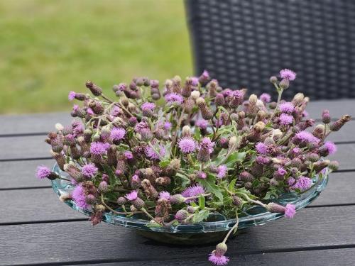 a bowl of purple flowers sitting on a table at Holiday Home Matthis - 500m to the inlet by Interhome in Skjern