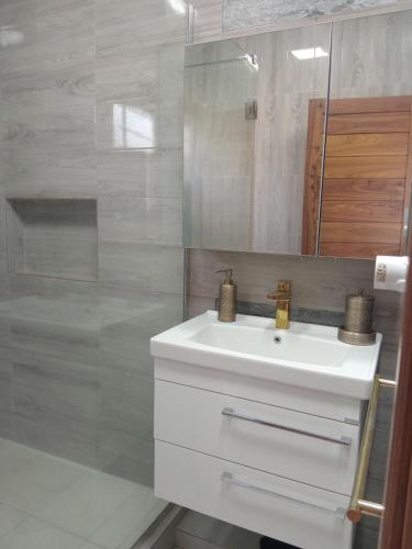 a bathroom with a white sink and a shower at Mira lune villa in Flic-en-Flac