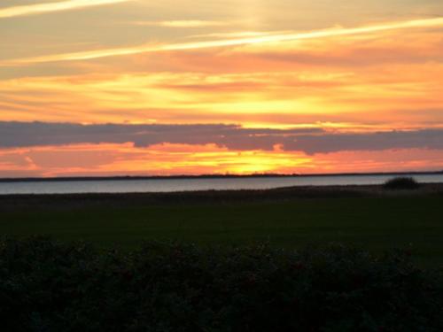 a sunset over a field with the ocean in the background at Holiday Home Aleida - 100m to the inlet by Interhome in Vemb
