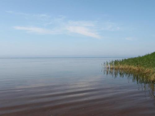 a large body of water with grass on the shore at Holiday Home Pyry - 400m to the inlet by Interhome in Skjern