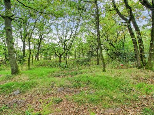 a wooded area with green grass and trees at Holiday Home Ellica - 50km from the sea by Interhome in Give