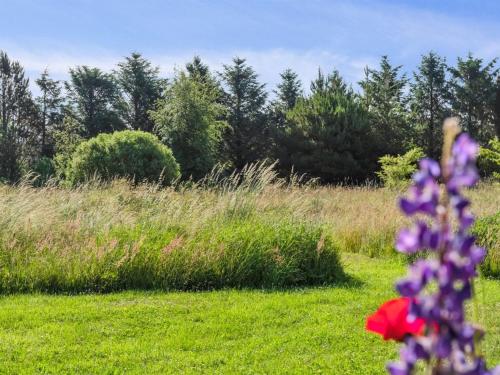 a field with purple and red flowers in the grass at Holiday Home Elsia - 1-5km to the fjord by Interhome in Frøstrup