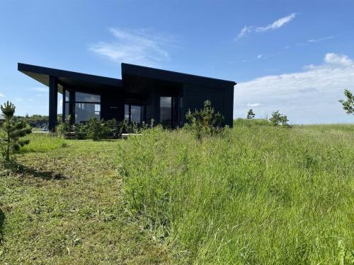 a black house on top of a grassy hill at Holiday Home Anelle - 500m from the sea by Interhome in Børkop