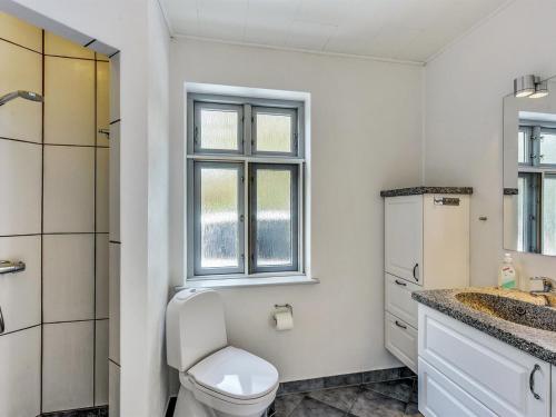 a bathroom with a toilet and a sink and a window at Holiday Home Sophia - 8km from the sea by Interhome in Thisted