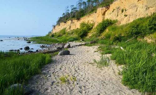 a sandy beach next to the ocean with grass at Spatzenhecke in Klütz