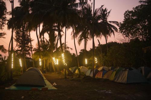 Gambar di galeri bagi Campola camping di Harihareshwar