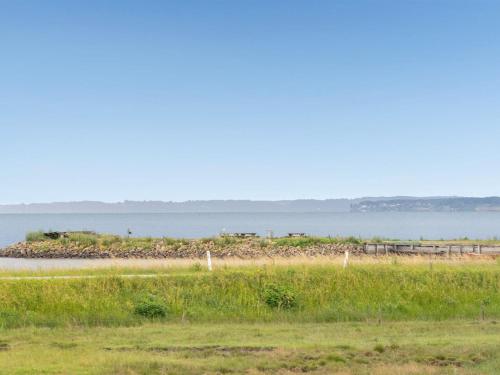 a grassy field with the ocean in the background at Holiday Home Thomsen - 200m to the inlet by Interhome in Sønder Dråby