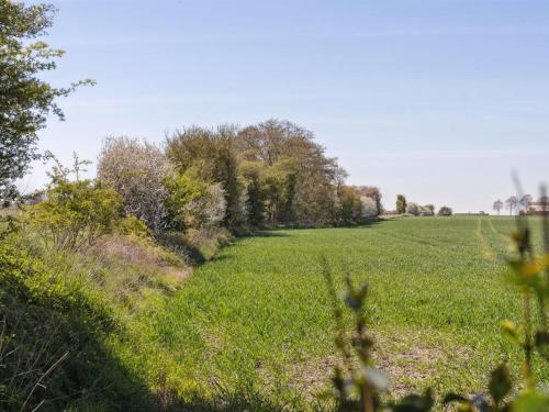 a field of grass with trees in the distance at Holiday Home Evamaria - 350m from the sea by Interhome in Odder
