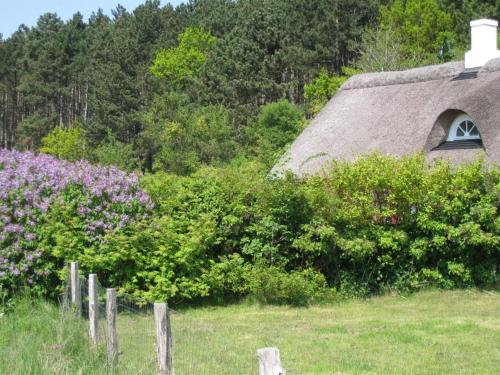 Κήπος έξω από το Holiday Home Eva - 1-5km to the fjord by Interhome