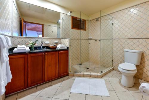 a bathroom with a shower and a toilet and a sink at Antigua Superyacht Marina & Resort in English Harbour Town