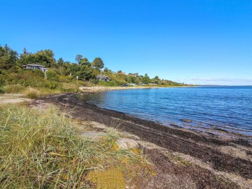 a view of a beach with water and trees at Holiday Home Elissa - 50m to the fjord by Interhome in Roslev