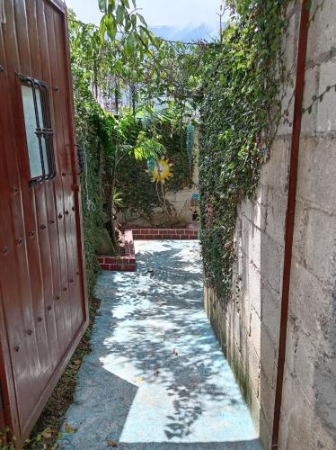 Κήπος έξω από το Posada Nance