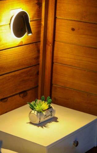 a potted plant sitting on top of a table at Villa Dulce Refugio in Cabrera