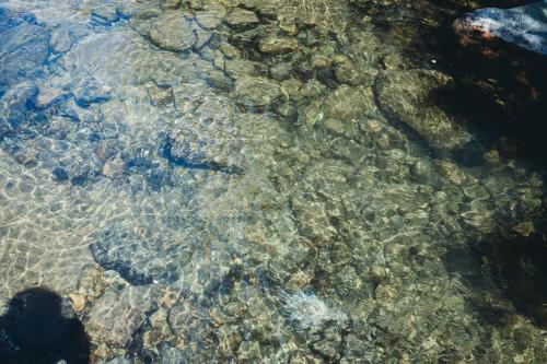 a close up of the water with rocks in it at Villa ORKA Pelister - Forest Zone in Bitola