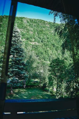 a view of a mountain from a bus window at Villa ORKA Pelister - Forest Zone in Bitola