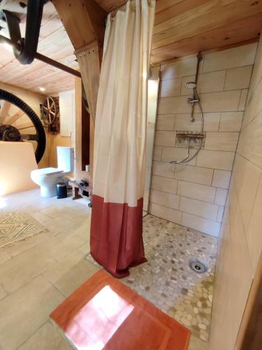 a bathroom with a shower with a shower curtain at Le Moulin de la Hire in Miremont
