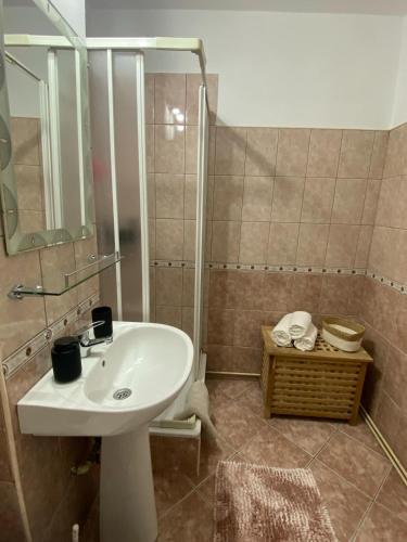a bathroom with a sink and a shower at The Cozy Nest in Carei