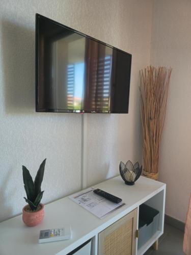 TV a/nebo společenská místnost v ubytování Apartment 4-6 personnes avec Piscine Demeure De la Massane