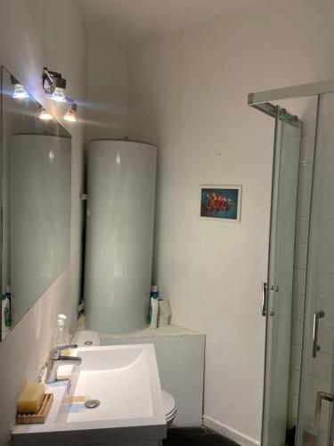 a bathroom with a sink and a mirror and a toilet at Cozy room in the heart of Marseille in Marseille
