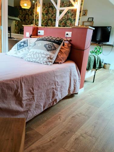 a bedroom with a large bed with a wooden headboard at Studio 14 Un véritable cocon en Centre Ville in Bagnères-de-Bigorre