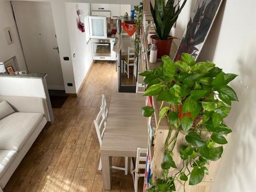 Cozy house with terrace