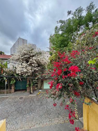 a garden with red flowers on a brick road at Quarto aconchegante com vista arborizada, próximo ao metrô Ana Rosa e Avenida Paulista! in Sao Paulo