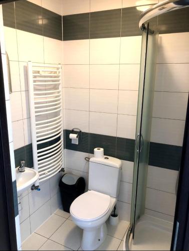 a small bathroom with a toilet and a sink at Noclegi Hrubieszów in Hrubieszów