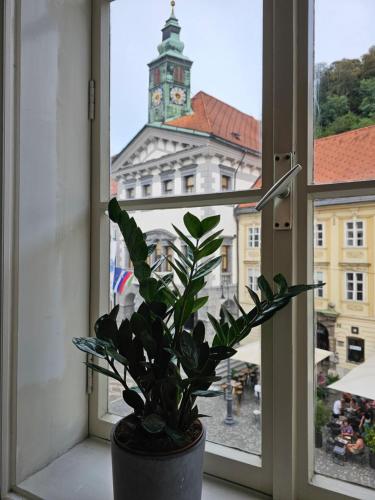 a potted plant sitting on a window sill with a clock tower at HISTORIC TOWN HOUSE Apartment in Ljubljana