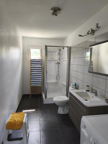 a bathroom with a shower and a toilet and a sink at La maison d Adélaïde in Saint-Laurent-dʼAigouze