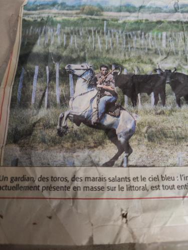 a painting of a man riding a horse at La maison d Adélaïde in Saint-Laurent-dʼAigouze