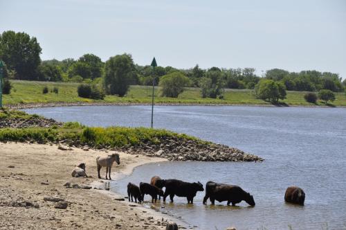 Galería fotográfica de LEEFFabriek en Arnhem