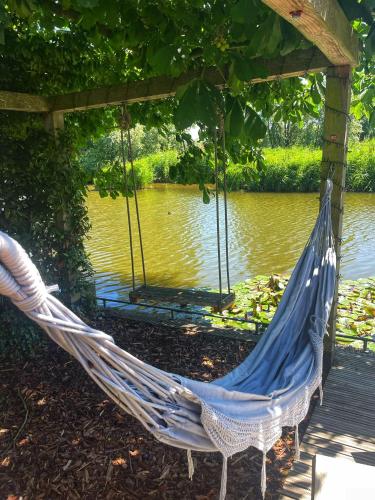 a hammock in front of a body of water at Gezellige Pipo met grote schommel aan het water en hottub in Medemblik