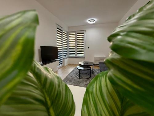 Televisyen dan/atau pusat hiburan di Apartment Residence Ilidža