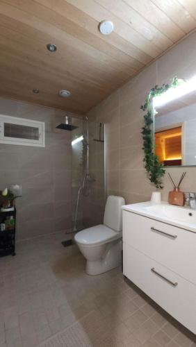 a bathroom with a toilet and a shower and a sink at Rakkamaja Modern Forest-View Apartment in Rovaniemi