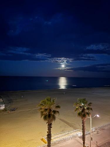 two palm trees on a beach at night at Vue sublime mer in Canet-en-Roussillon