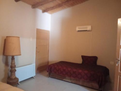 a bedroom with a bed and a lamp in it at Casa de campo in Uspallata