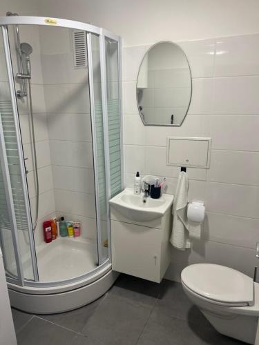 a bathroom with a shower and a toilet and a sink at DiSte Apartman in Knin